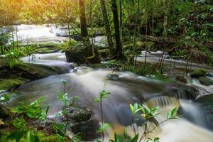 montanha rio corrente cachoeira verde floresta paisagem natureza plantar árvore floresta tropical selva com rocha e verde mos foto