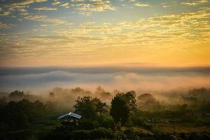 nevoeiro nascer do sol durante o inverno bela manhã com cobertura enevoada no prado foto