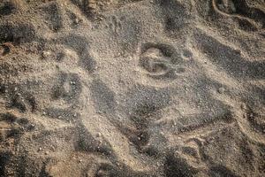 trilha de pegadas de animais no fundo de textura de areia foto