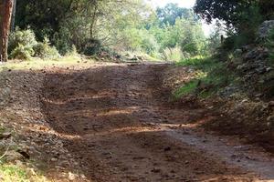 estrada rural da floresta no norte de israel. foto