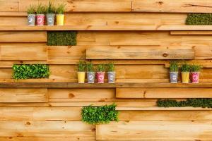 pequenos vasos com plantas em um fundo de parede de madeira foto