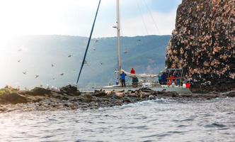 turistas em um passeio de barco em um iate perto da ilha observando os leões marinhos. foto