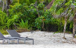 palmeiras guarda-sóis espreguiçadeiras resort na praia de playa del carmen, méxico. foto