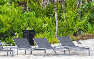 palmeiras guarda-sóis espreguiçadeiras resort na praia de playa del carmen, méxico. foto