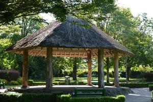 cabana de palha no parque de adare, república da irlanda. foto