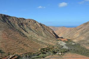 plantas a caminho do vulcão extinto na ilha de fuerteventura, ilhas canárias, espanha foto