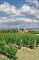 vila de ferrugem, neusiedler see, burgenland, áustria foto