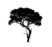 silhueta de árvore isolada para pincel no fundo branco foto