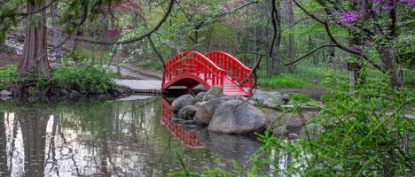 vista panorâmica da ponte vermelha do jardim no jardim japonês em jardins de cranbrook, michigan. foto