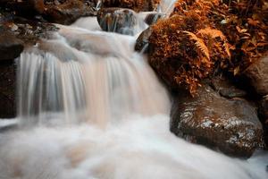 a beleza de um riacho que flui em uma área rural em bali. foto