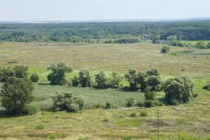 manhã ensolarada de primavera no prado com árvores foto