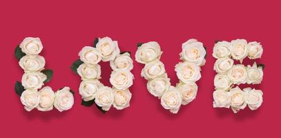 palavra amor feito de vista superior de flores rosas no fundo de cor viva magenta foto