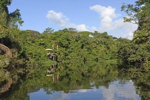 estação de pesquisa remota na floresta tropical foto