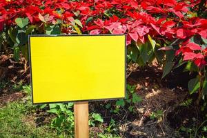 placa amarela de plástico em branco vazia no jardim com fundo de flor vermelha foto