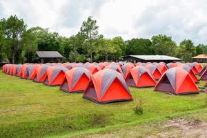 suporte colorido de barraca de acampamento em uma linha com fundo de pinheiro no parque de tendas da área foto