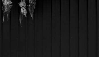 videira, cipó, trepadeira no canto superior esquerdo em fundo de aço inoxidável preto em tom vintage. crescimento de plantas na parede da porta do obturador escuro com espaço de cópia. padrão de linha de cortina ou papel de parede de zinco. foto