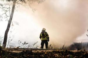 bombeiros extinguem um incêndio na floresta por inundações de água