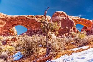 imagem panorâmica de maravilhas naturais e geológicas do parque nacional de arcos em utah no inverno foto