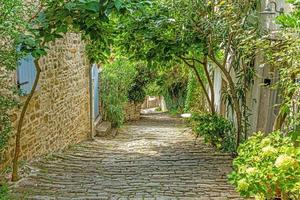 foto de uma romântica rua de paralelepípedos coberta de árvores e folhas na cidade medieval de motovun, na ístria central, durante o dia