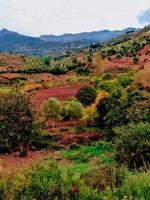 hectares entre a natureza durante a aragem foto