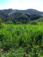 beleza da natureza da montanha foto