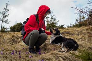 turista feminina com cachorro na colina fotografia cênica foto