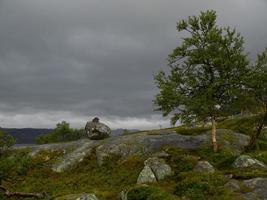 os fiordes da noruega foto