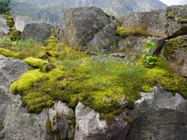 nos fiordes noruegueses foto