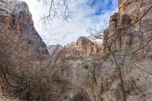 vista sobre penhascos ásperos do parque nacional de zion em utah no inverno foto