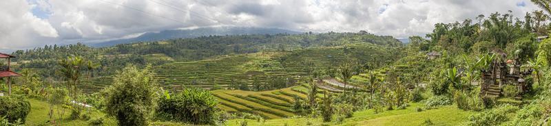 vista sobre os típicos terraços de arroz na ilha de bali, na indonésia foto