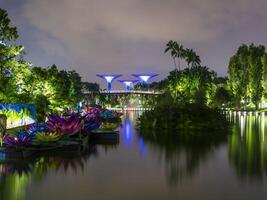 foto dos jardins do bay park em singapura durante a noite em setembro