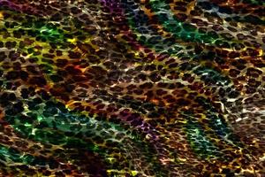 fundo geométrico abstrato, design de superfície geométrica colorida, fundo de textura holográfica, textura gradiente de leopardo multicolorido, fundo líquido de mármore abstrato, textura líquida brilhante multicolorida foto