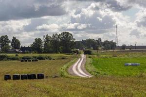 paisagens letãs de verão com nuvens foto