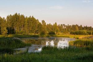 paisagens de verão letãs foto