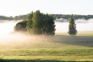 paisagens de verão letãs foto