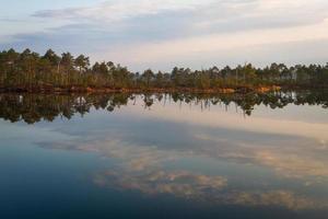 lago pântano na primavera foto