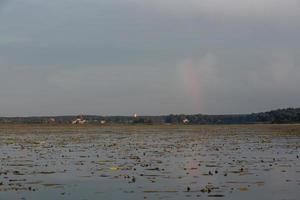 paisagens do lago da letônia no verão foto