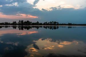 lago pântano na primavera foto