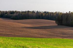 paisagens da primavera letã foto