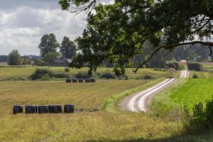 paisagens letãs de verão com nuvens foto