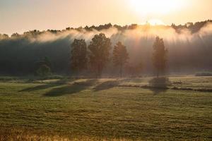 paisagens de verão letãs foto