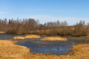 paisagens da primavera letã foto