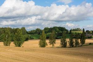 paisagens letãs de verão com nuvens foto