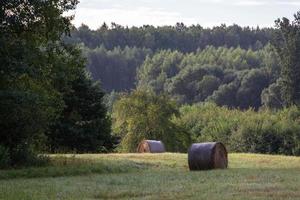 paisagens da letônia no verão foto