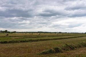 paisagens de verão letãs com rolos de feno foto
