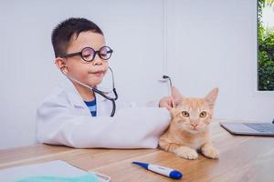 médico masculino asiático examinando um gato foto