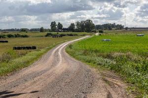 paisagens letãs de verão com nuvens foto