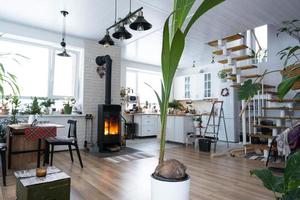 coqueiro em uma panela em casa no interior. casa verde, cuidado e cultivo de plantas tropicais foto