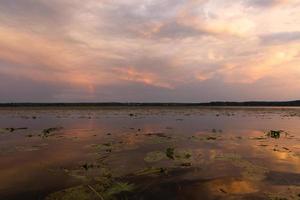 paisagens do lago da letônia no verão foto