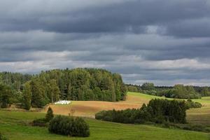 paisagens de verão letãs foto